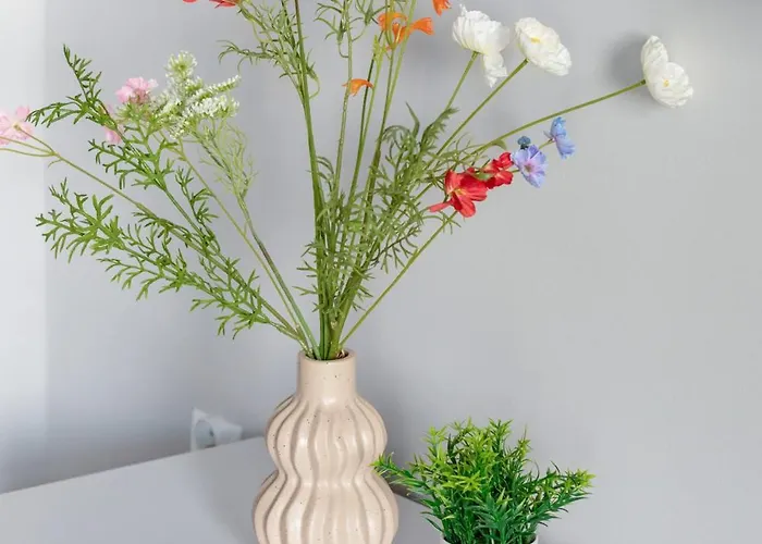 Comfortable With Parking In By Renters Apartment